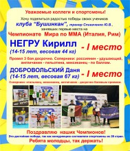 Чемпионат Мира по ММА